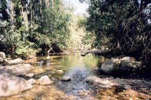 Fazenda moderna