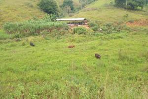 Fazenda moderna á venda