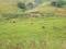 Fazenda moderna á venda