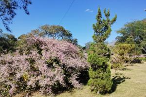 Fazenda Moderna