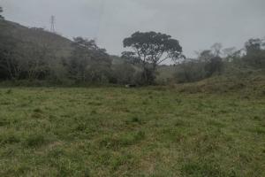 Fazenda Moderna