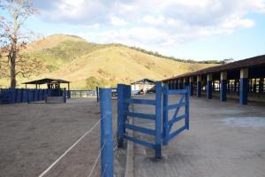 Fazenda Moderna