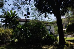 Fazenda Moderna