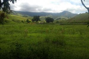 Fazenda Centenária