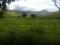 Fazenda Centenária
