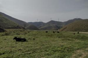 Fazenda moderna  a venda