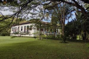 Fazenda Centenária a venda